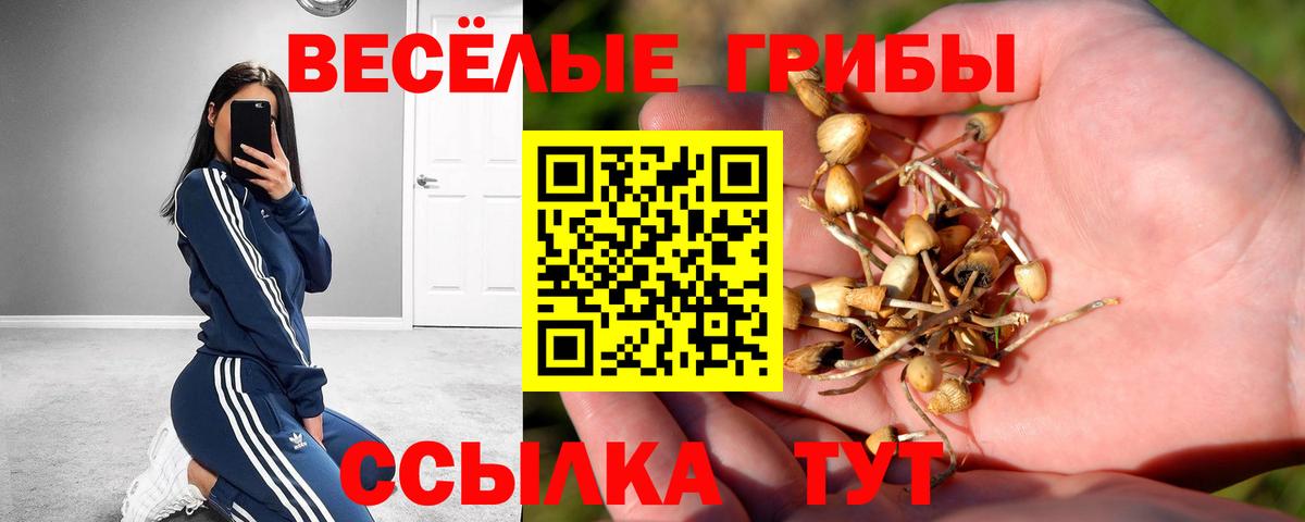 Псилоцибиновые грибы GOLDEN TEACHER  Галлюциногенные грибы Psilocybe  Вход с VPN  Муром 